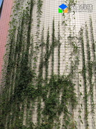 ��h��һ�ЌW����G������Ч���D