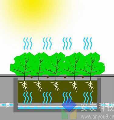 蓄水功能_安友 蓄水功能_安友