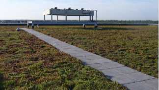 ��̺ʽ�G��3