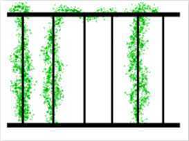 ���N���z��ʽ��1��