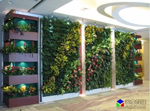 ��ֱ�G�����Bֲ�_���̌���