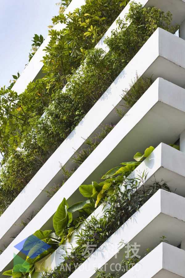 檐口綠化 檐口綠化