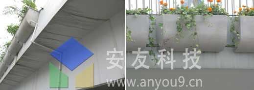 武漢高架橋垂直綠化 武漢高架橋垂直綠化