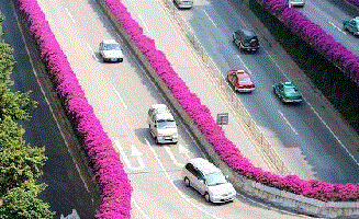 ��ʲôҪ���߼ܘ�G����