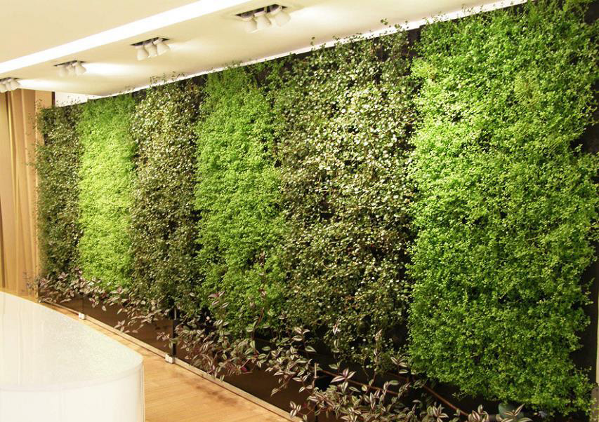 ĳչ����չ����ֲ�