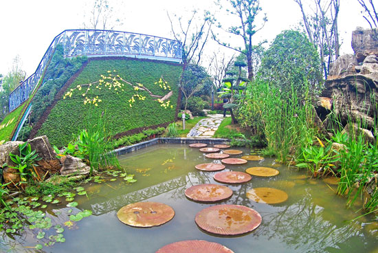 ��ʮ�È@�����ϵ�ˇ�g�G��