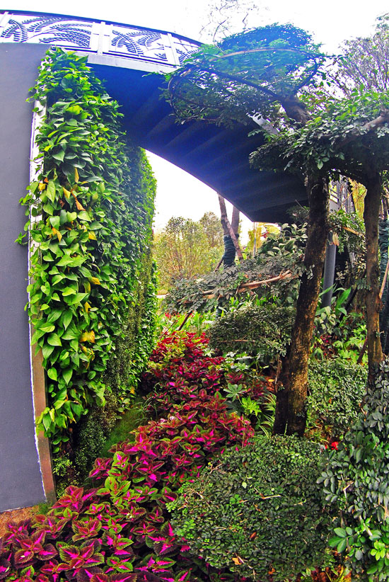 ��ʮ�È@�����ϵ�ˇ�g�G��