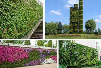 ����ʽ����G��