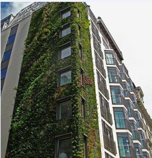 ��ֱ�G������