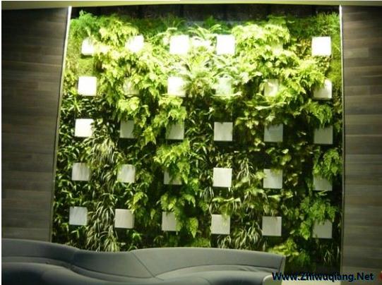 ����ֲ��OӋ