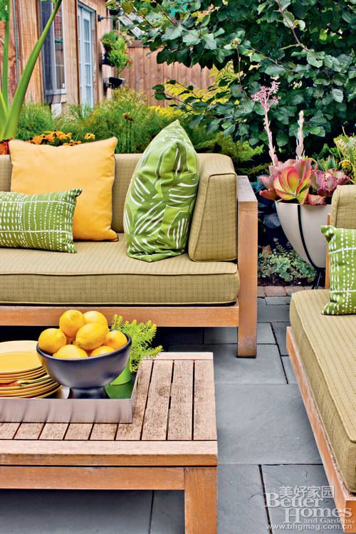 ������ֲ������