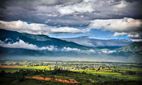 �F���������ܵ��L�� �ɕ��෽���������Ї����O