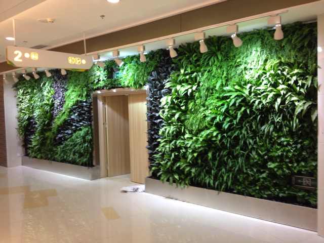 ��ֱ�G������