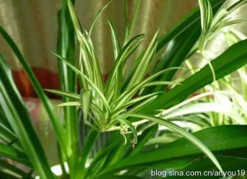 ����ֲ�����]