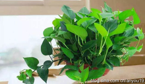 ����ֲ�����]