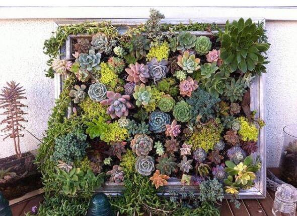 ֲ�����