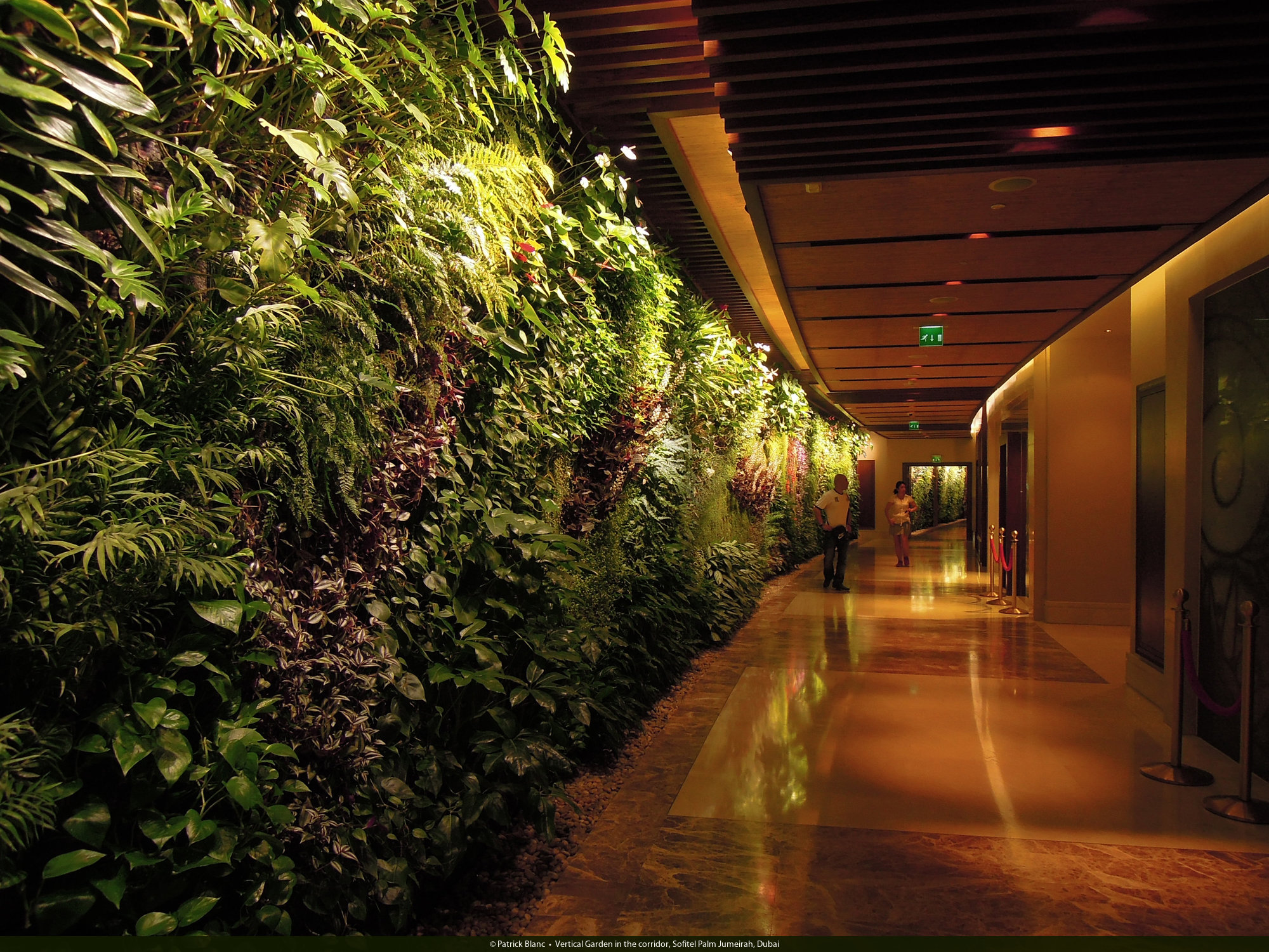 �҃�(n��i)ֲ�����