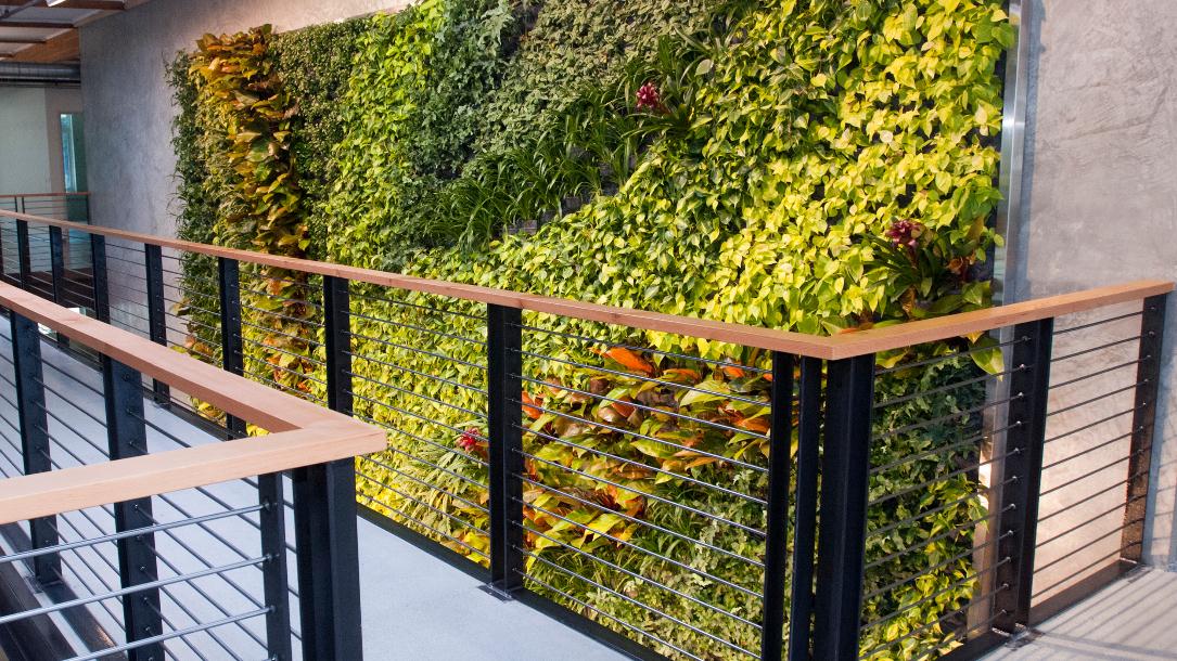 �҃�(n��i)ֲ�����