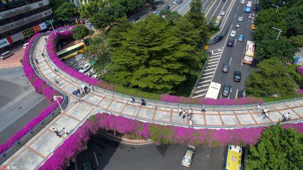 �h��������G��