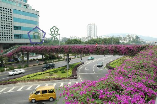 �������G���OӋҎ��