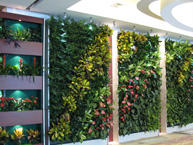 �����G������